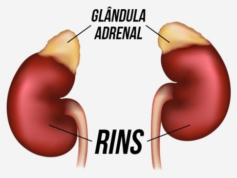 Terapia integrativa