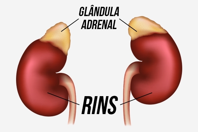 Terapia integrativa